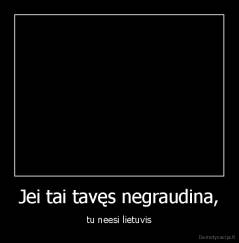 Jei tai tavęs negraudina, - tu neesi lietuvis
