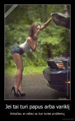 Jei tai turi papus arba variklį - Anksčiau ar vėliau su tuo turėsi problemų