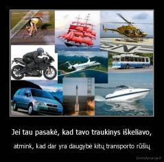 Jei tau pasakė, kad tavo traukinys iškeliavo, - atmink, kad dar yra daugybė kitų transporto rūšių