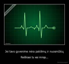 Jei tavo gyvenime nėra pakilimų ir nuosmūkių - Reiškiasi tu esi miręs...