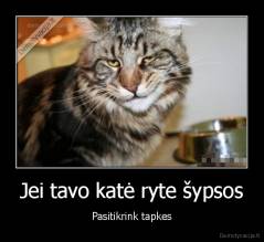 Jei tavo katė ryte šypsos - Pasitikrink tapkes