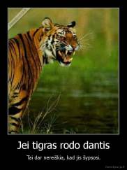Jei tigras rodo dantis - Tai dar nereiškia, kad jis šypsosi.