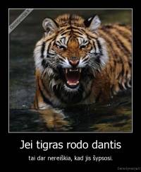 Jei tigras rodo dantis - tai dar nereiškia, kad jis šypsosi.