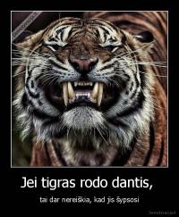 Jei tigras rodo dantis,  - tai dar nereiškia, kad jis šypsosi