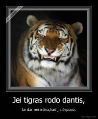 Jei tigras rodo dantis, - tai dar nereiškia,kad jis šypsosi.