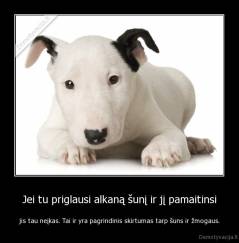 Jei tu priglausi alkaną šunį ir jį pamaitinsi - jis tau neįkas. Tai ir yra pagrindinis skirtumas tarp šuns ir žmogaus.