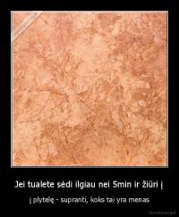 Jei tualete sėdi ilgiau nei 5min ir žiūri į - į plytelę - supranti, koks tai yra menas