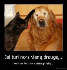 Jei turi nors vieną draugą... - reiškias turi nors vieną priešą...