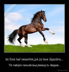 Jei žinai tad nesiartink,juk jis tave ižgazdins... - Tik nebijok nenuskriaus,tiesiog tu išsigasi..