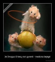 Jei žmogus iš tiesų nori gyventi - medicina bejėgė - 