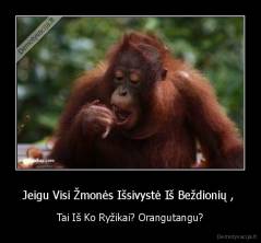 Jeigu Visi Žmonės Išsivystė Iš Beždionių ,  - Tai Iš Ko Ryžikai? Orangutangu?