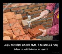 Jeigu ant kojos užkrito plyta, o tu nemoki rusų - kalbos, tai praktiškai neturi ką pasakyti