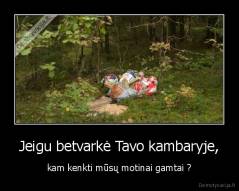 Jeigu betvarkė Tavo kambaryje, - kam kenkti mūsų motinai gamtai ?