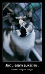 Jeigu esam aukščiau , - nereiškia kad galim sutrypti.