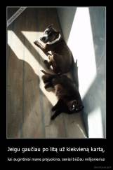 Jeigu gaučiau po litą už kiekvieną kartą, - kai augintiniai mane prajuokina, seniai būčiau milijonierius