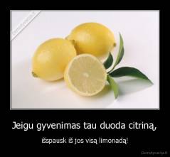 Jeigu gyvenimas tau duoda citriną, - išspausk iš jos visą limonadą!