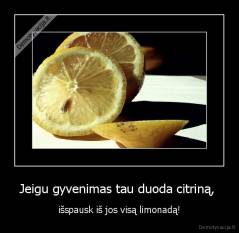 Jeigu gyvenimas tau duoda citriną,  - išspausk iš jos visą limonadą!