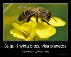Jeigu išnyktų bitės, visa planetos - augmenija ir gyvūnija mirtų
