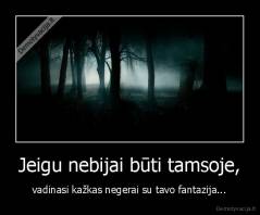 Jeigu nebijai būti tamsoje, - vadinasi kažkas negerai su tavo fantazija...