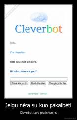 Jeigu nėra su kuo pakalbėti - Cleverbot tave pralinksmins