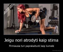 Jeigu nori atrodyti kaip stirna - Pirmiausia turi paprakaituoti kaip kumelė