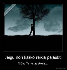 Jeigu nori kažko reikia palaukti - Tačiau Tu ne tas atvejis....