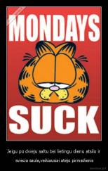 Jeigu po dvieju saltu bei lietingu dienu atsilo ir -  sviecia saule,veikiausiai atejo pirmadienis