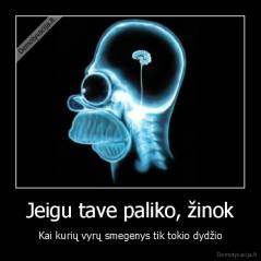 Jeigu tave paliko, žinok - Kai kurių vyrų smegenys tik tokio dydžio