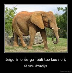 Jeigu žmonės gali būti tuo kuo nori, - aš būsiu dramblys!