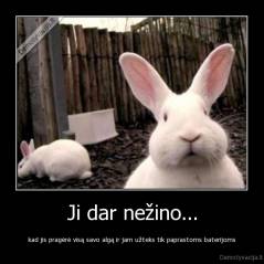 Ji dar nežino... - kad jis pragėrė visą savo algą ir jam užteks tik paprastoms baterijoms