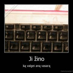 Ji žino - ką valgei aną vasarą