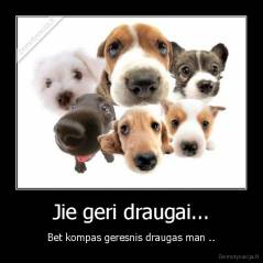 Jie geri draugai... - Bet kompas geresnis draugas man ..