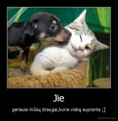 Jie - geriausi mūsų draugai,kurie viską supranta ;]