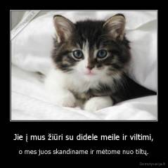 Jie į mus žiūri su didele meile ir viltimi, - o mes juos skandiname ir mėtome nuo tiltų.