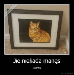 Jie niekada manęs - Neras