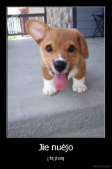 Jie nuėjo - į tą pusę