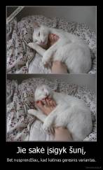 Jie sakė įsigyk šunį, - Bet nusprendžiau, kad katinas geresnis variantas.