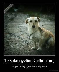 Jie sako gyvūnų žudimui ne, - kai patys valgo jautienos kepsnius.