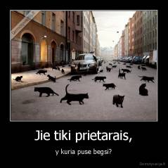 Jie tiki prietarais, - y kuria puse begsi?