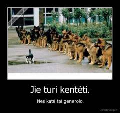 Jie turi kentėti. - Nes katė tai generolo.