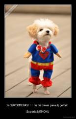 Jis SUPERMENAS! ! ! nu tai dawai pasaulį gelbet!  - Superis:NEMOKU