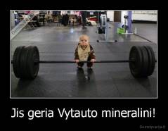 Jis geria Vytauto mineralini! - 