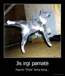 Jis irgi pamatė - Jogurto "Smile" žemą kainą...