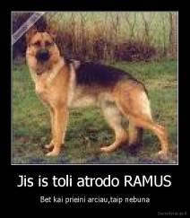 Jis is toli atrodo RAMUS - Bet kai prieini arciau,taip nebuna