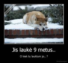 Jis laukė 9 metus.. - O kiek tu lauktum jo.. ?