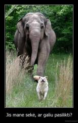 Jis mane sekė, ar galiu pasilikti? - 