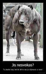 Jis nesveikas? - Tu atsakai taip, bet tik dėl to nes jis stipresnis uz tave!