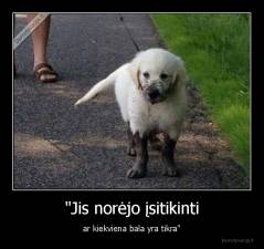 "Jis norėjo įsitikinti - ar kiekviena bala yra tikra"