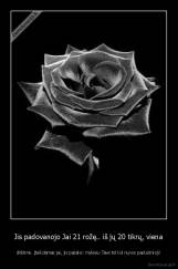 Jis padovanojo Jai 21 rožę.. iš jų 20 tikrų, viena - dirbtinė. Įteikdamas jai, jis pasakė: mylėsiu Tave tol kol nuvys paskutinioji!