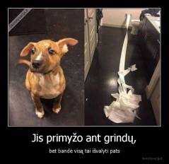 Jis primyžo ant grindų, - bet bandė visą tai išvalyti pats